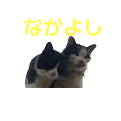 yukihide_20250429211144