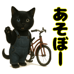クロネコ ごまちゃんのつぶやき（1）
