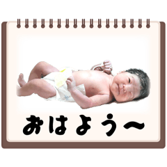 JIN_20250430044802