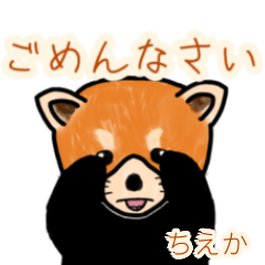 Chieka's lesser panda