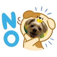 ANZU_20250429222653