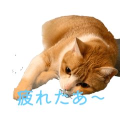 ka_20250429223411