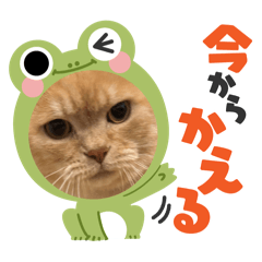 neko_20250429224140