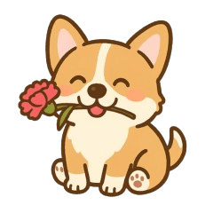 Corgi Pup's May Days