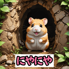 Little Hamster Feelings