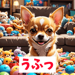 Chihuahua Daily Emotions