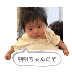 Sai_20250429234714