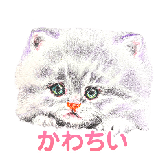 maimai_20250430113140