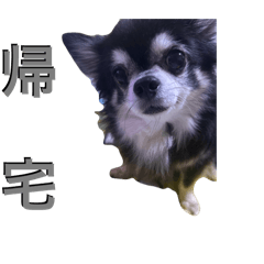JK_20250430113018