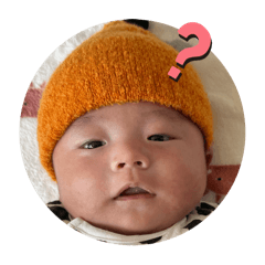ryu_20250430113419