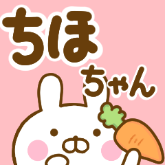 Rabbit Usahina chihochan