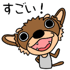 今日のわんにゃんず