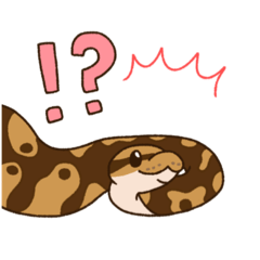 ボールパイソンずスタンプ(日常)