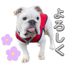 Nana_20250430073631