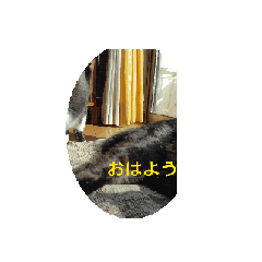 sakura_20250429171707