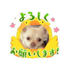 m_20250429195122