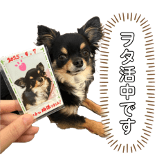 mo_20250430115915