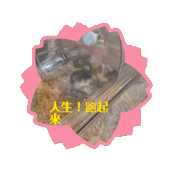 可愛三索