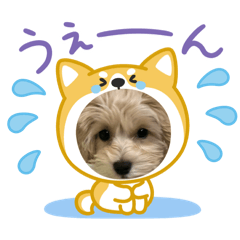 ayaka_20250430124537