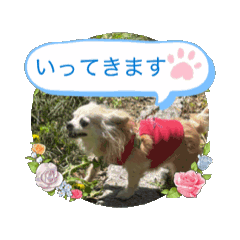 non_20250430132232