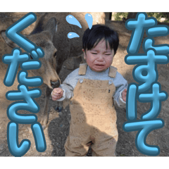 Hikari_20250430125940