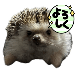 ryota_20250430134321