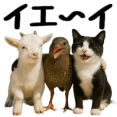 Diary of Three Best Friends 2