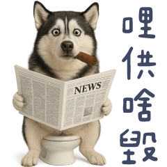 廁所狗勾✩哩供啥毀!這下挫賽惹