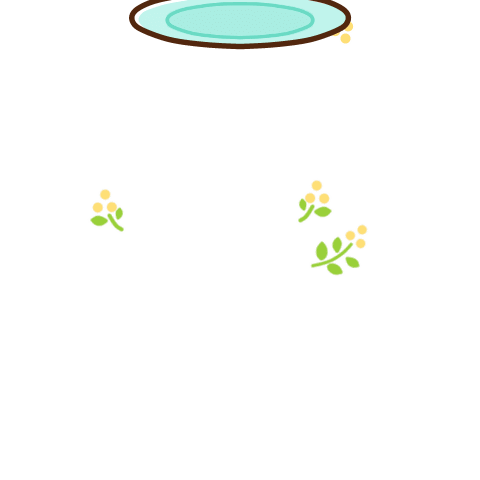 跳出去！亞洲小爪水獺♡每天用心呵護