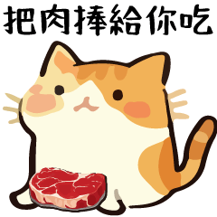 Talking Cat Ball LMeat Special