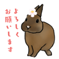 うさぽんの春夏スタンプ