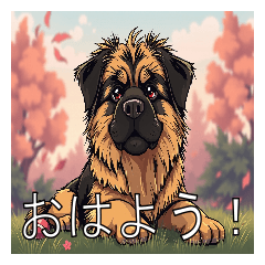Lots of Leonbergers