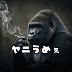 Cigarette-loving gorilla
