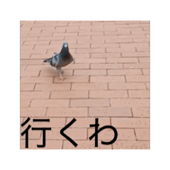 BOU N INNGE NN_20250429182639