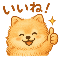 Pomeranian mugi-chan