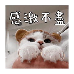 Ju_20250429224332