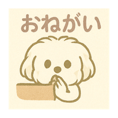Andy_20250430071504