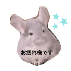jun_20250430110117