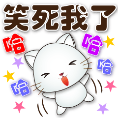 Cute white cat -daily practical greeting