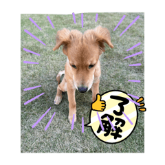 satoshi.i_20250429175816