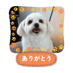 Chie_20250429204423