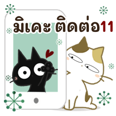 แมวดำและมิเคะ สำหรับติดต่อ 11