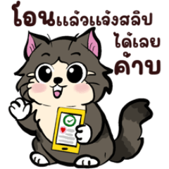 อั่งเปา : ขายของออนไลน์