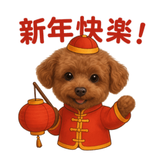 Andy dog(Festival)