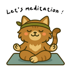 跟著G貓一起做瑜伽貓式療癒！