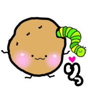 Zyagaimomo