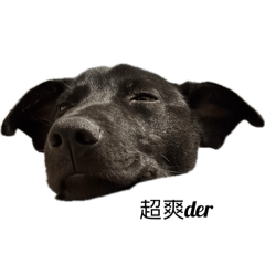 我是YY
