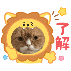 Shinji Yurino_20250430182214