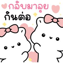 สโนว์ แมวน้อย ทำงาน