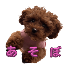 KAORI_20250430182953